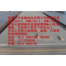 河北無(wú)磁鋼 特種鋼板領(lǐng)域的優(yōu)質(zhì)選擇與商機(jī)展望